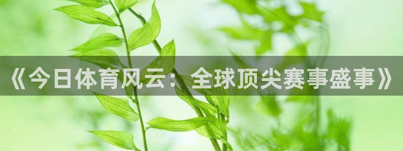 《今日体育风云：全球顶尖赛事盛事》