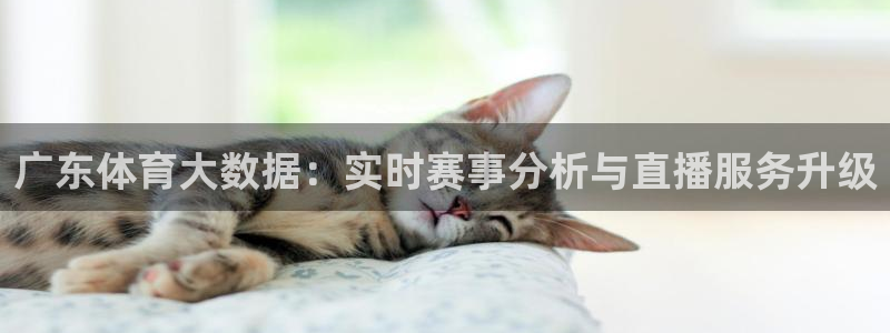 广东体育大数据：实时赛事分析与直播服务升级