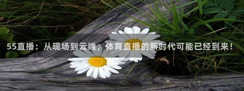 55直播：从现场到云端，体育直播的新时代可能已经到来！